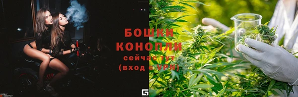 скорость Новозыбков
