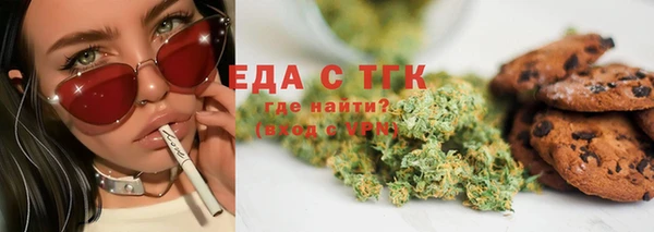 индика Новодвинск