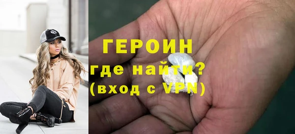 индика Новодвинск
