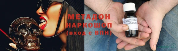 индика Новодвинск