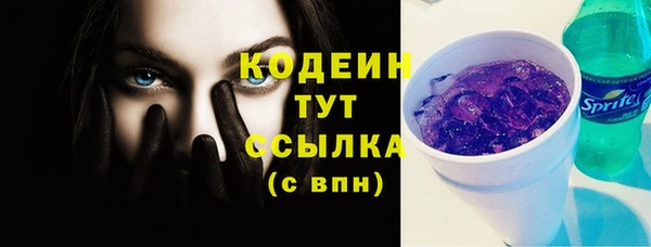индика Новодвинск