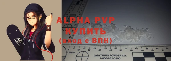 индика Галич