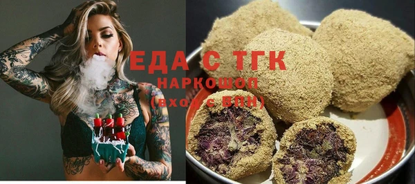 индика Новодвинск