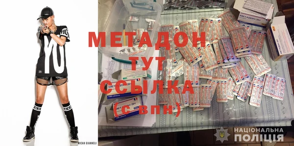 индика Новодвинск
