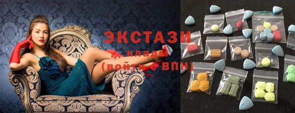 индика Новодвинск