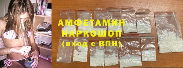 индика Новодвинск