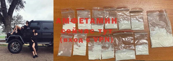 индика Новодвинск
