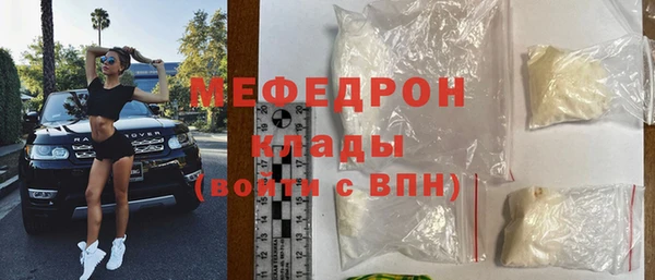 индика Новодвинск