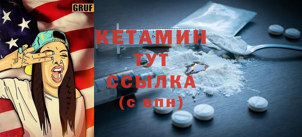 индика Новодвинск