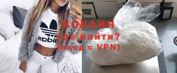индика Новодвинск