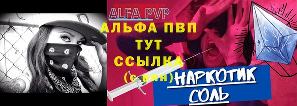 индика Новодвинск