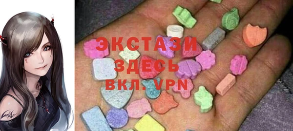 индика Новодвинск
